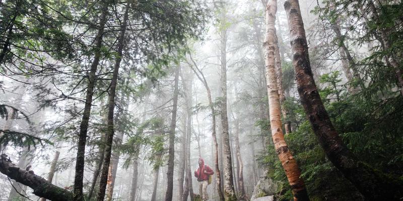从六分仪到智能集成：航海导航的现代化演进与实用工具大全