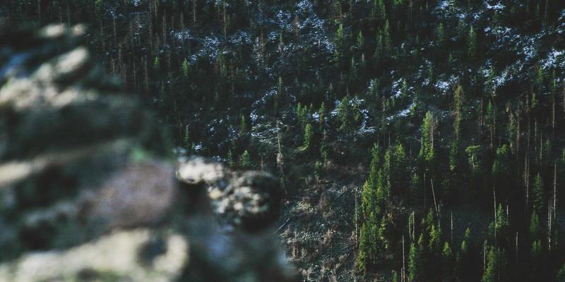 导航15:重新定义效率上网,打造您的专属实用工具网址大全