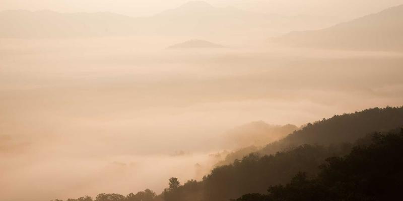 导航24:网址大全与信息整合,开启高效网络探索之旅