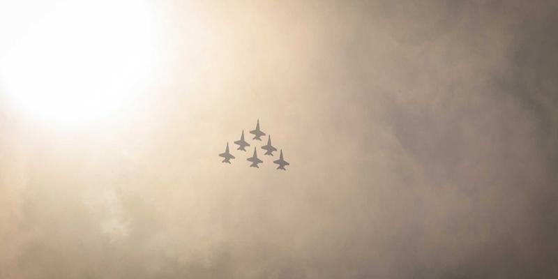 导航29:您不可或缺的数字生活指南与资源宝库