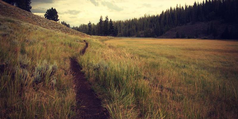 导航7：您的全能网址大全与生活指南，汇聚实用工具的智能门户