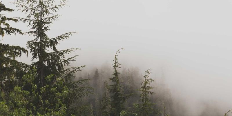 导航89：您的全方位资源整合与生活信息指南