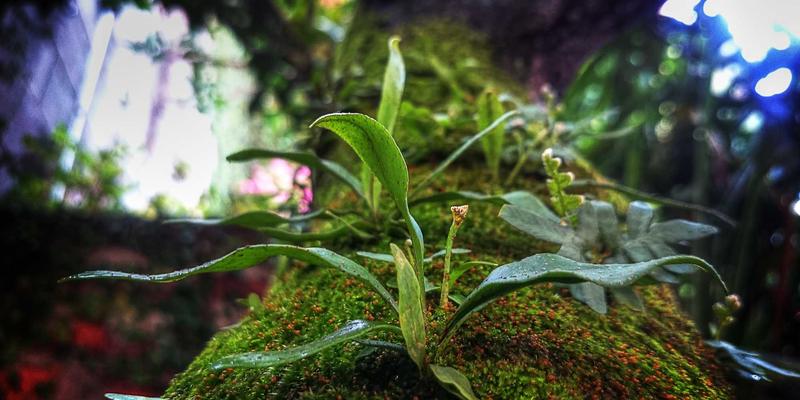 导航与隐私安全：你的行踪数据如何成为数字时代的核心学习资源