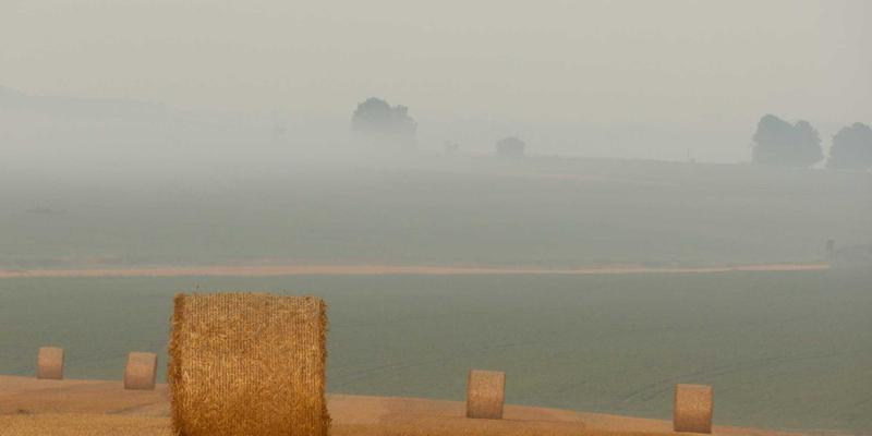 导航语音包背后的心理学：定制化声音如何成为驾驶决策与情绪的实用工具