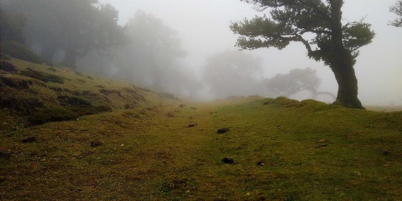 导航隐私安全完全指南：你的位置数据如何被收集、使用与保护 | 实用工具与生活指南