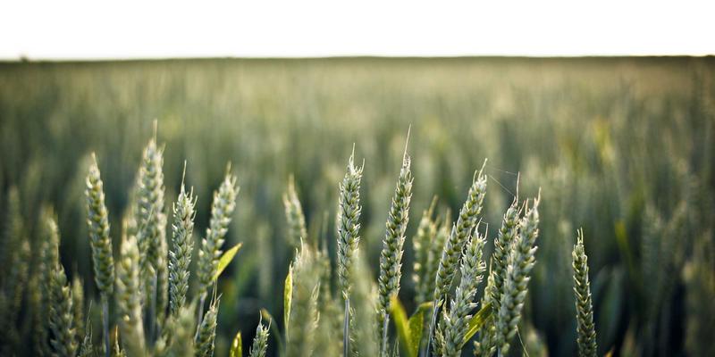 户外徒步导航技巧：善用资源与信息，掌握地形图和指南针定位