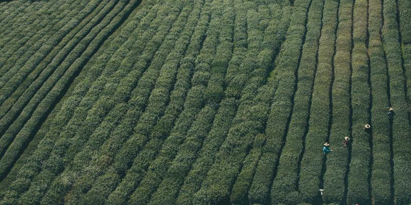 无人机自主导航技术：视觉SLAM与路径规划在物流与巡检中的应用与学习资源