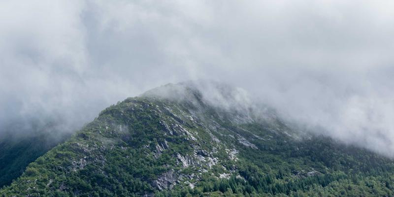 网址大全的进化：从导航工具到智能门户的三大趋势