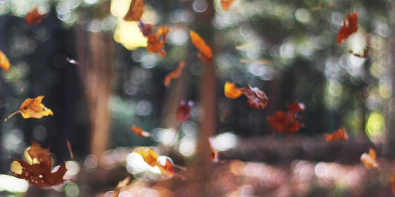 车载AR-HUD导航显示技术：现状、核心资源与未来实用工具